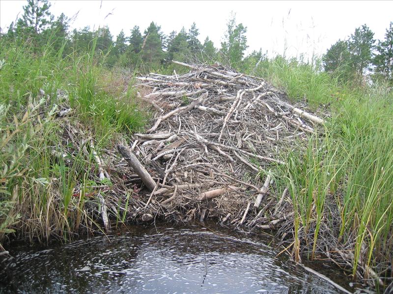 Sweden 2006-07 129